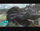 【実況】兄妹愛溢れるゲームをプレイ【ニーアレプリカント】part7