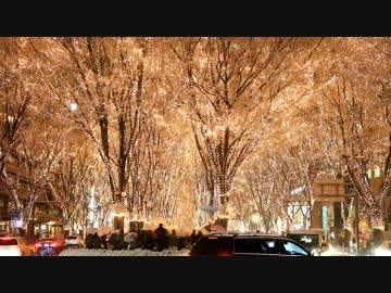 2013 仙台 光のページェント