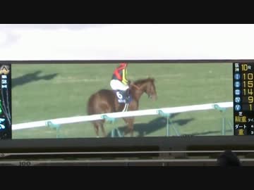 阪神競馬場で第58回有馬記念を観戦