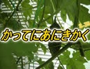 かってにあにきかく２－３５