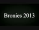 Bronies 2013 - When Can We Do This Again-