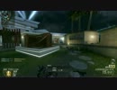 [PC]雑魚勢のCoD:BO2 TDM #1