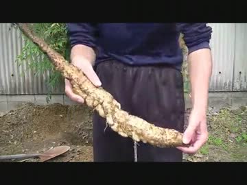 マッタリ穴掘り動画