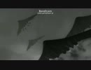 【ACVD】ハレボシ通信 vol.02【VC付き】