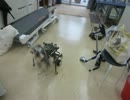 20131228move-06.MOV