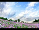 【歌ってみた】春に一番近い街/40mP　奏樹Vocal.