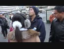 辺野古基地反対!無許可街宣粉砕行動@大阪　4/5【2013.12.28】