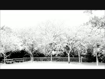 【NNI】Snow Around【Chillout】