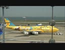 2013年8月の東京羽田空港