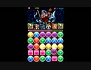 パズドラ 神々の王 ラー49PT ノーコン