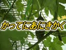 かってにあにきかく２－３６