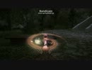 【新生FF14】召喚士変身マクロ