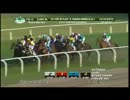 【世界の競馬場から】2013年銀杯　エンダイア