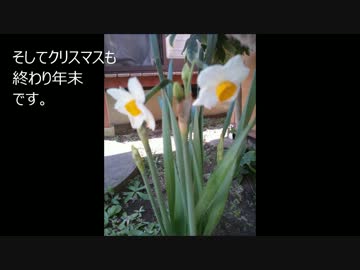 まったり田舎暮らし　その７