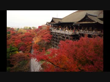 京都秋色 - 2013 -