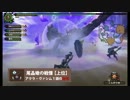 ドキドキわくわくMH実況【Part8】