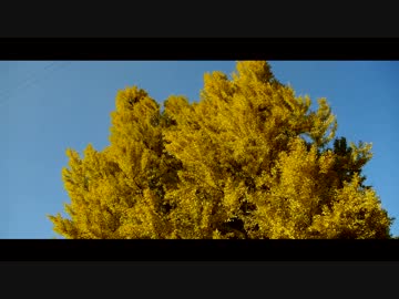 一人旅　2013総集編