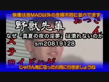 2013年　音MADで振り返る　真夏の夜の淫夢.mpg上半期