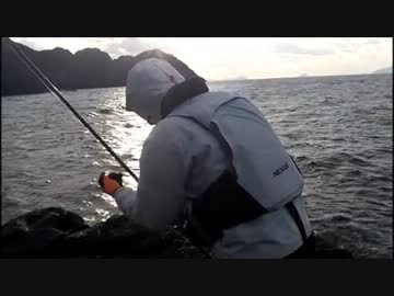 グレ釣り！２０１３年釣り納め。