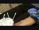 綿棒とセキセイインコ ルル