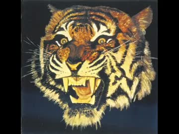 【HR/HM】Tiger/same