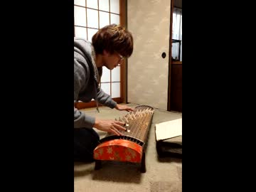 【紫曹長】超弾ける人っぽく琴弾いてみた