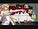 【MUGEN】姫、はじめました