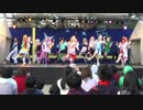 【踊ってみた】言っただろ、京大はFreeにしか踊らないって【2013】1/4