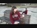 【謹賀新年】Bad Apple!!踊ってみた【SmallStyle】