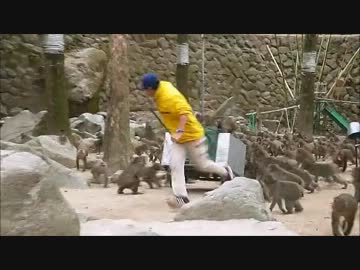 高崎山自然動物園
