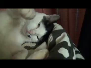 いい！みーちゃんが皆様に幸多かれと福招きをさせていただきます。