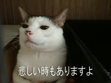 寝ぼけ顔がやばい～