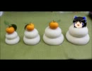 ゆっくり不思議体験噺（弐拾玖）