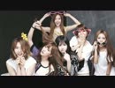 T-ARA　Treasure　VTR