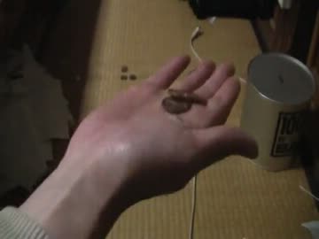 １０円ずつ増える貯金