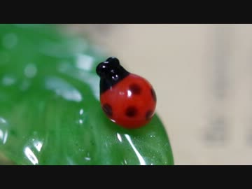 ノーカットで天道虫を作る【ガラス細工】