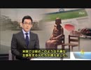 【韓国MBC】「美少女像撤去せよ」日本極右の世論作りと圧力行使
