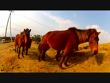 ボルドールで年越しツーリング