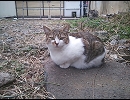 リバーサイド・カフェ　2014年1月4日放送