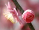 GLAY名曲集　春夏秋冬ver【10月～3月】