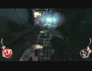 Shadow Warrior 謎の死