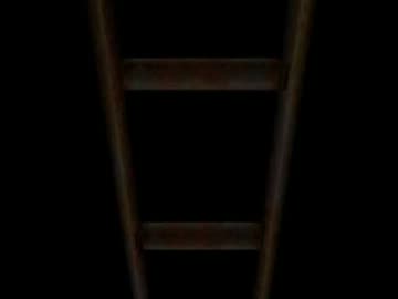 はしごでドーナツホール