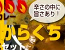 【姉ジャ。のpart37】スカイウォードソード実況【ボス戦】