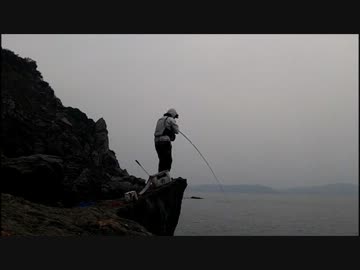 グレ釣り！２０１４年釣り始め