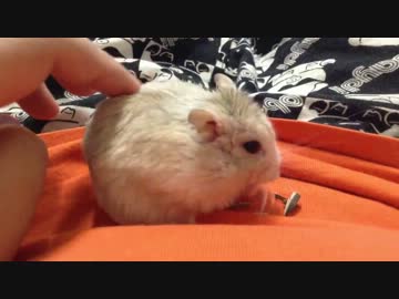 亂丟垃圾會被罰錢的