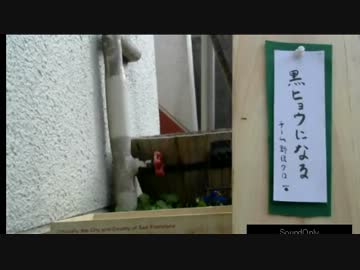 2014年☆今年の目標!@ねこチーム.
