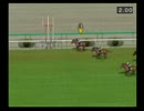 【ダビつく５】競馬界を制圧する旅【実況】（縛りつき）.part174