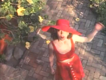 Chris de Burgh - Lady in Red　