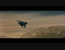 古き機体でF-14で模擬戦