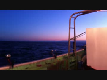 【登別沖】 スケソウダラを釣ってきた